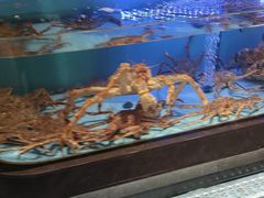 -阿伟海鲜楼·福建菜(延寿店)