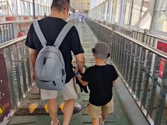 -武汉关码头(轮渡站)