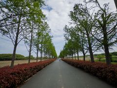 -嘉北郊野公园