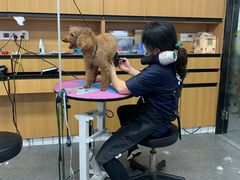 -贝贝宠物乐园(常青花园店)