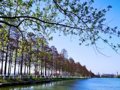 -东湖磨山景区