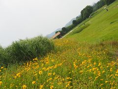 -良渚古城遗址公园