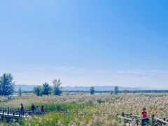 -野鸭湖国家湿地公园