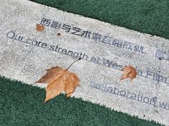 -西安电影制片厂