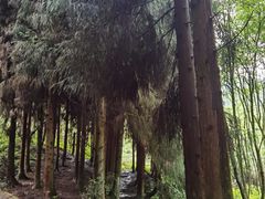 -龙窝子