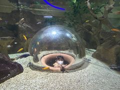-绿色星球动物主题公园