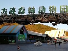 -大连森林动物园