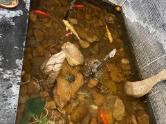 -百花食府(渔阳南路店)