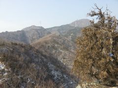 -北京鹫峰国家森林公园
