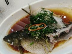 泉水浸鲩鱼-畔山酒店中餐厅