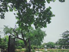 -睦南公园