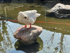 -龙华寺