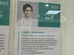 -瑞派天使宠物医院·神经外科·骨科·核磁CT(洛川中路店)