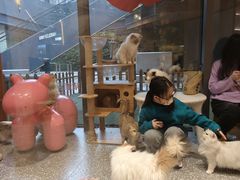 -囡的喵喵酱·萌宠生活馆·宠物洗护美容(胶州路店)