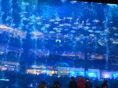 -成都浩海立方海洋公园