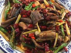 -高坎一品甲鱼庄(两河店)