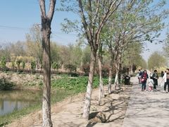 -西青郊野公园