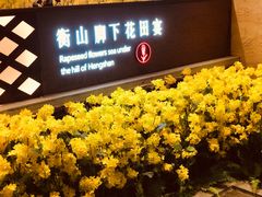 -遇见湘·地道湖南菜(云门店)