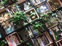 -ZING COFFEE 镜咖啡