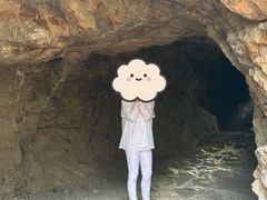 -上海佘山国家森林公园天马山园