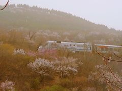 -居庸关长城