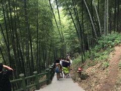 -藏龙百瀑风景区