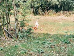 -苏州环秀晓筑养生度假村