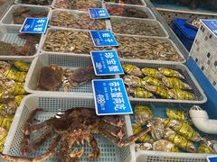 -双井轩(双井店)