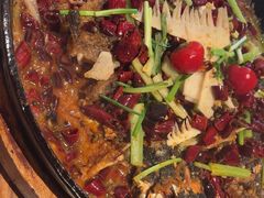 -老板恋上鱼(恒隆广场店)