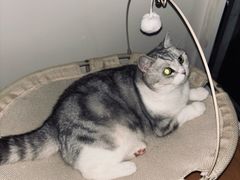 -南拳十三姨·潮汕砂锅粥·粤菜(西单大悦城店)