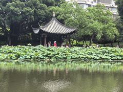 -光明港公园