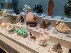 -湖南省地质博物馆