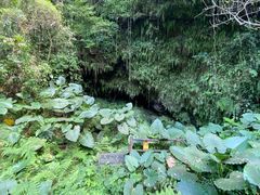 -海口火山口国家地质公园