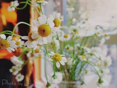 -秘密小花园(第三中学店)