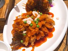 -新梅华(太仓万达店)