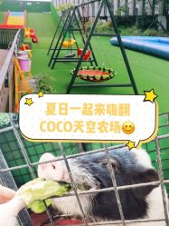 -可可天空农场(中大店)