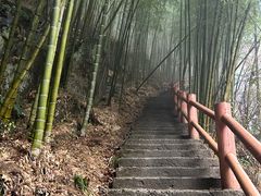 -藏龙百瀑风景区