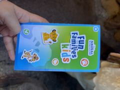 -奥兰多迪士尼动物王国乐园