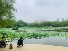 -太阳宫公园