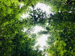 -成都杜甫草堂博物馆