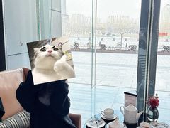 -瑞吉酒店·瑞吉酒吧