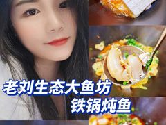 -老刘生态大鱼坊铁锅炖鱼(赛马场店)
