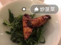 炒菠菜-西郊5号·Maggie 5