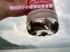 -杨梅坑