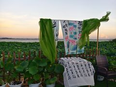-七的湖·晚芳亭·阳澄湖农家菜·大闸蟹(莲花岛店)