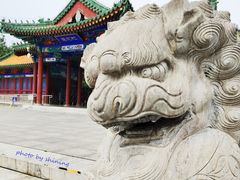 -莲花池公园
