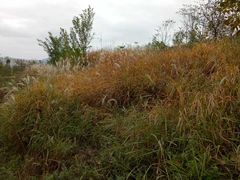 -商洛老君山旅游风景区