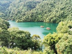 -鼎湖山风景区