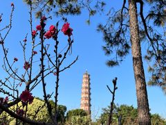 -广州莲花山旅游区