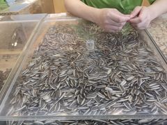 -粒上皇(天河南一路店)